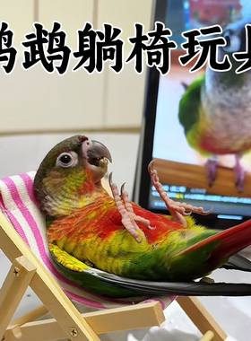 鹦鹉玩具躺椅小沙发解闷自嗨休息训练逗鸟虎皮牡丹玄凤小太阳专用