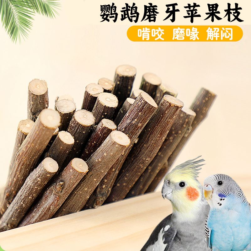鹦鹉苹果枝磨牙磨爪啃咬玩具用品