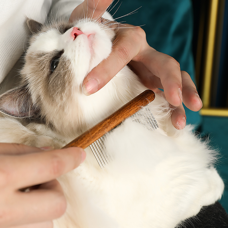 宠物梳子猫梳毛专用梳子去浮毛
