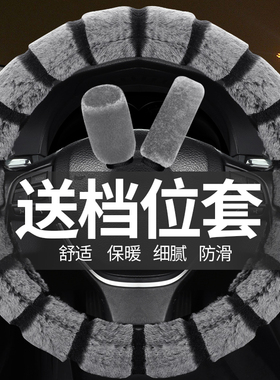 雷丁d5070众新e6鸿日s1金彭d70丽驰v5新能源电动汽车方向盘套把套