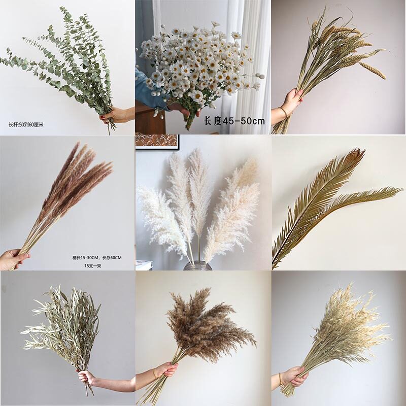 松果手作干花拍摄道具 diy花材花艺家居客厅装饰品摆设圣诞节礼物