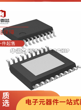 TPL9202PWPR HTSSOP-20封装 门驱动器芯片 TPL9202PWP 原装正品