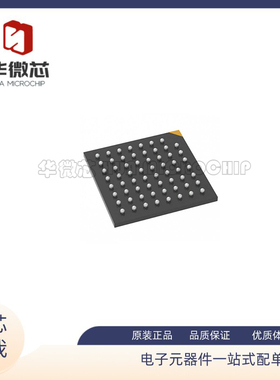 AR0135CS2M25SUEA0-DPBR IBGA-63 图像传感器/镜头/摄像头 芯片