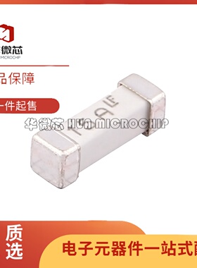 全新正品 0463015.ER SMD,10.1x3.1mm封装   贴片式保险丝