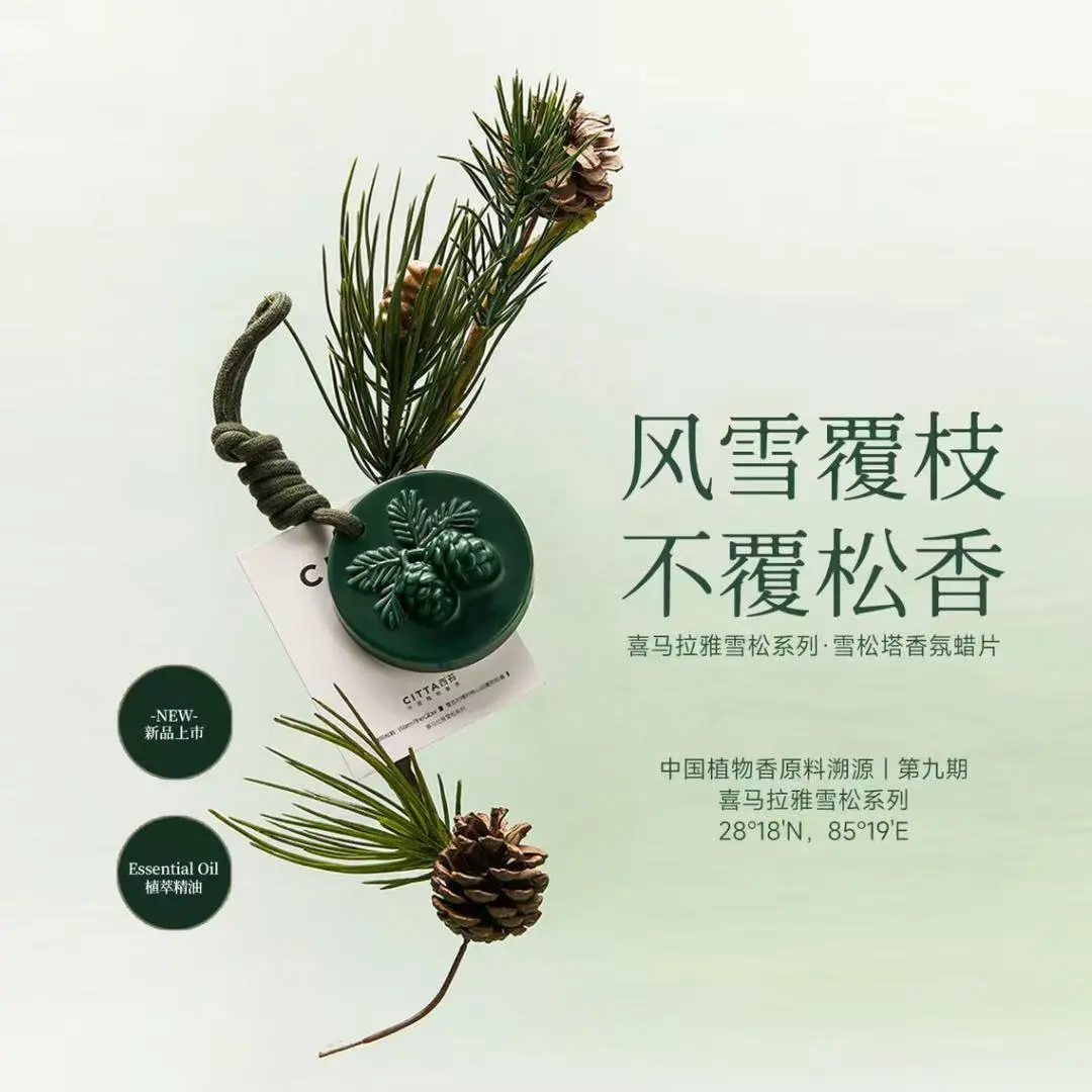 松果雪松香薰蜡片清冽木质香持久留香衣柜卧室香氛挂饰KD
