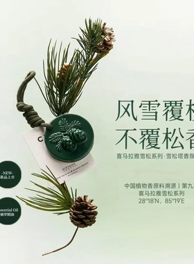 松果雪松香薰蜡片清冽木质香持久留香衣柜卧室香氛挂饰KD