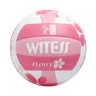 WITESS 正品胶粘5号软皮中考学生室内外训练比赛沙滩男女充气排球