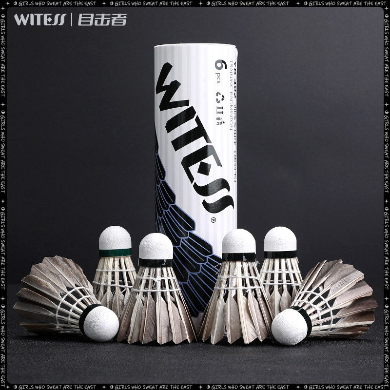 WITESS羽毛球不易烂耐打王402鸭毛球训练球专用耐打6只装黑白色款