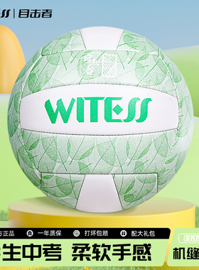 WITESS目击者机缝5号软皮中考学生室内室外训练比赛沙滩充气排球