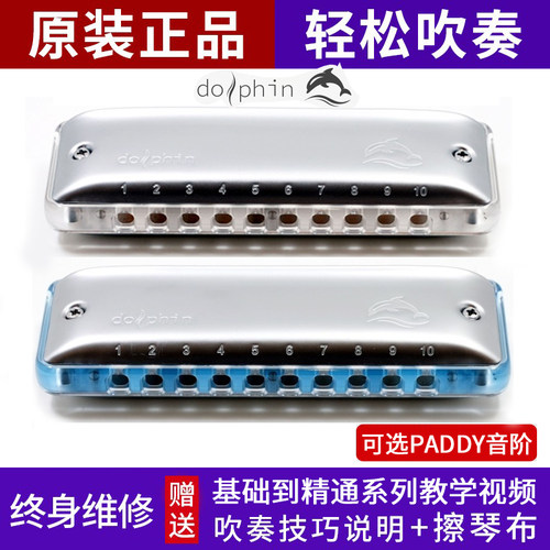 园园同款新款海豚十孔布鲁斯口琴