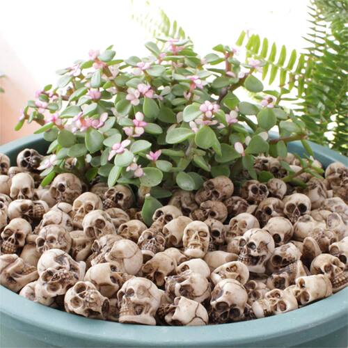 20Pcs Mini Skull Figure Collectable Halloween Miniature Skul