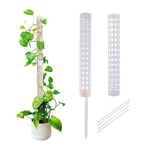Plant Climbing Column Sphagnum Moss Pole Plants Growing Supp