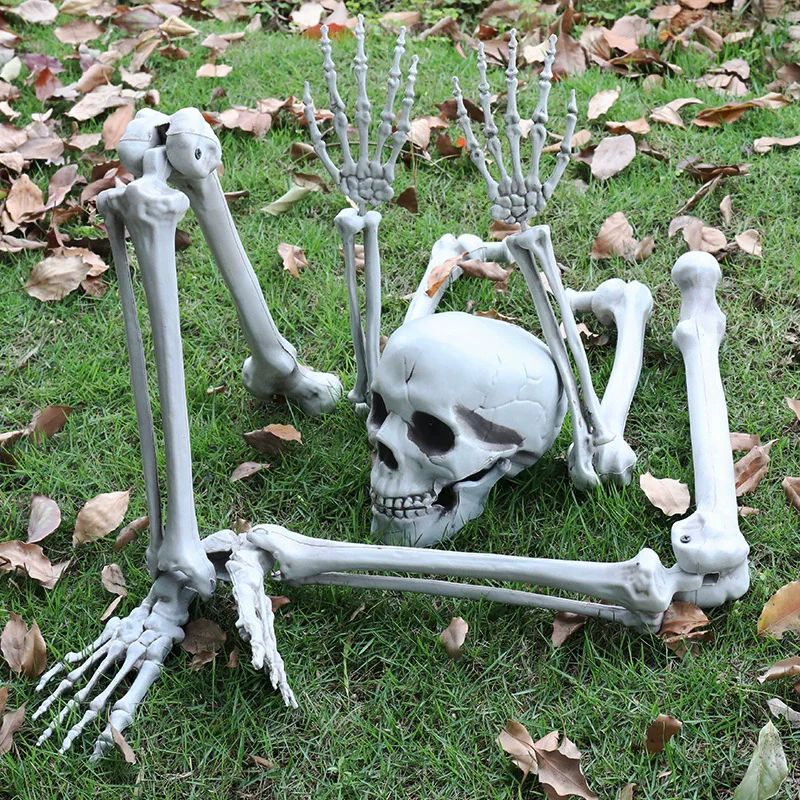 Halloween Decorations Scary Props Realistic Skeleton Skull &