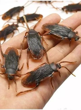 10pc Funny Fake Cockroach Halloween Party Decoration Trick P