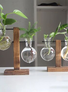 Creative Glass Desktop Planter Bulb Vase Wooden Stand Hydrop