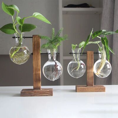 Creative Glass Desktop Planter Bulb Vase Wooden Stand Hydrop