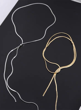 抽拉式项链女小众轻奢设计高级感蛇骨链简约百搭颈链长款毛衣链