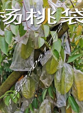 包邮农业耳朵杨桃薄膜套袋番石榴