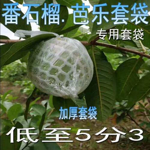 包邮番石榴水果袋网袋防虫袋套袋