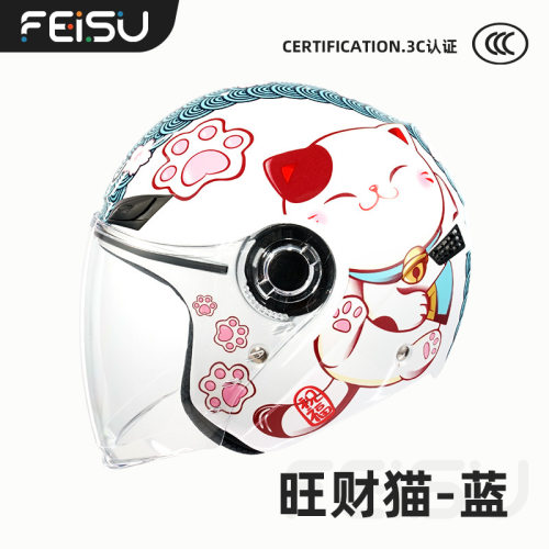 FEISU 3C认证国标电动车头盔电瓶机车半盔四季通用男款安全帽851