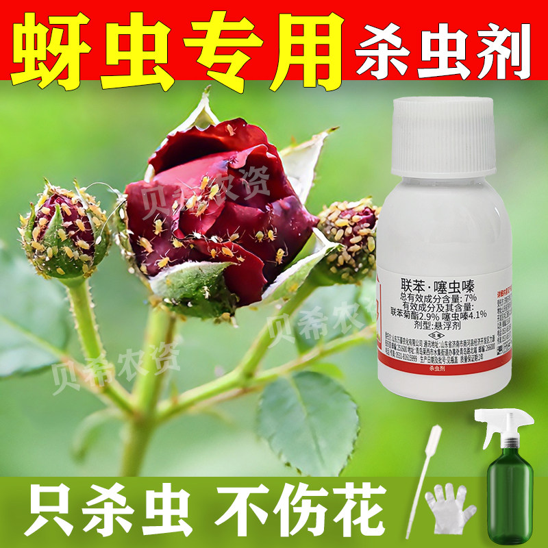 蚜虫专用杀虫剂月季病虫害常用药玫瑰多肉花卉植物蔬菜杀腻虫蓟马