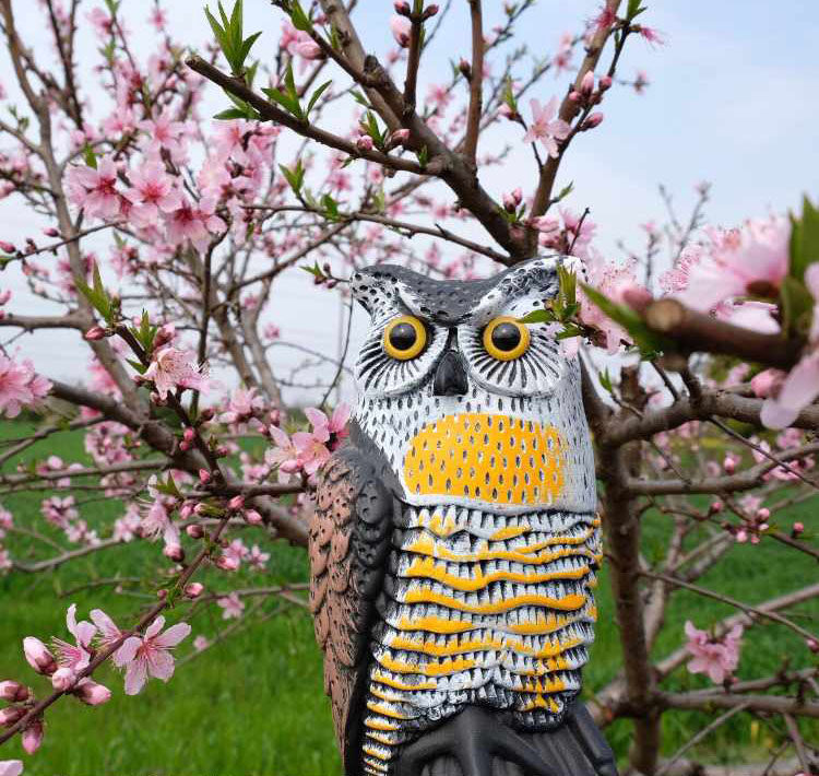 网友分享在meiguo.com的图片