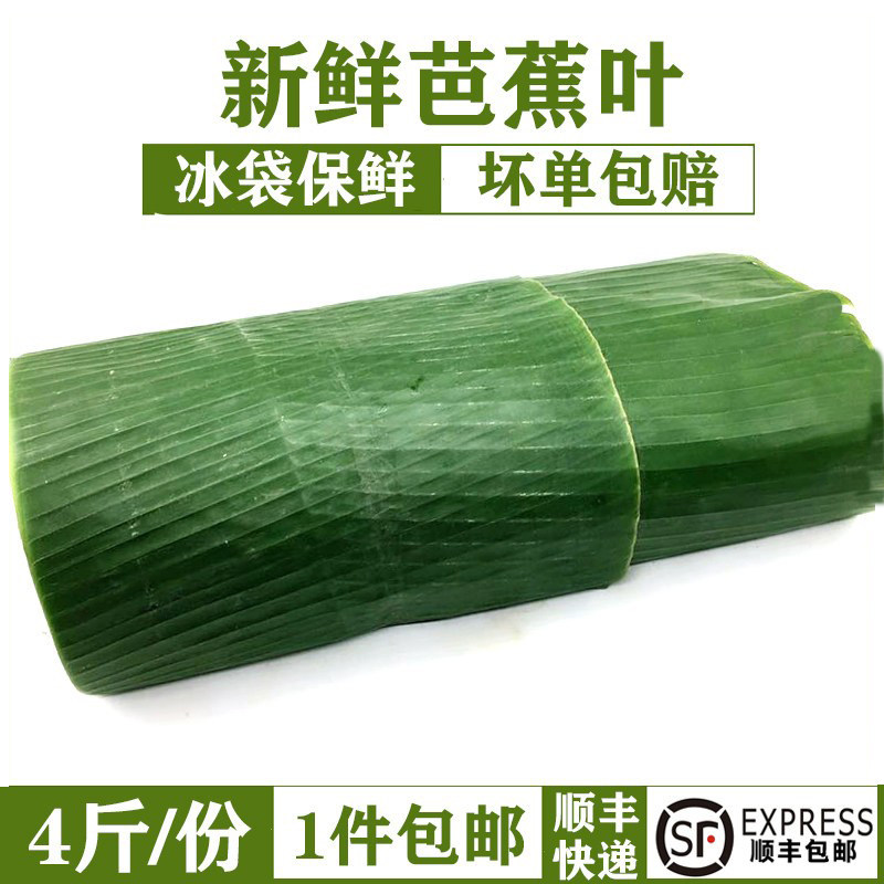 芭蕉叶4斤新鲜香蕉叶 做糍粑粽子糕点泰式包烧摆盘烤鸡包 包邮
