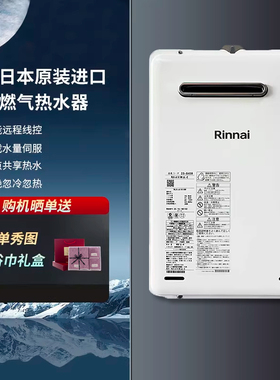 Rinnai/林内 rux-a1616w//A2016W-E/2406W燃气热水器室户外机进口