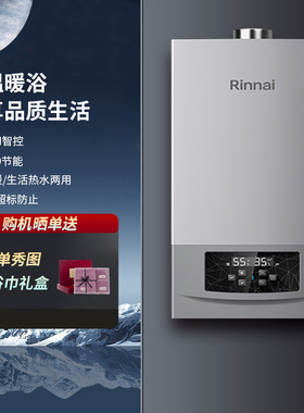 Rinnai/林内 RBS-24G56