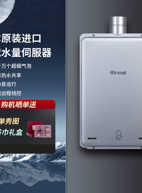 Rinnai/林内REU-UA2024WF/UA2426WF燃气热水器室内细气泡纳米20升