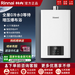 Rinnai RUS R16E51G 林内