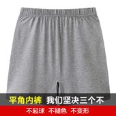 平角裤 宽松短裤 男士 申本纯棉中年透气内裤 四角大裤 衩加大码 睡裤