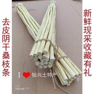 新鲜现采去皮阴干中药材桑树枝条桑木棍 经络拍打棍纯手工桑枝棒