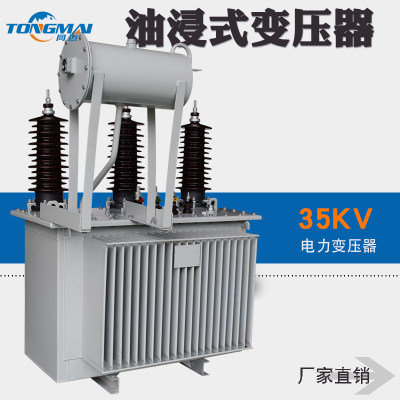 30KV变11KV油浸式电力变压器400KVA 户外三相柱上配电变压器 节能