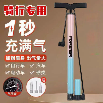 适用迪卡侬rc100/120/mh500/mh100/mh150/h900st100自行车打气筒