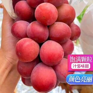 妮娜皇后葡萄红宝石提子妮娜女皇无籽红提红酒花香味葡萄顺丰包邮