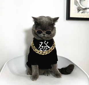 定制猫咪衣服蓝猫布偶猫宠物夏季 留言免费改字 薄款 防掉毛小猫