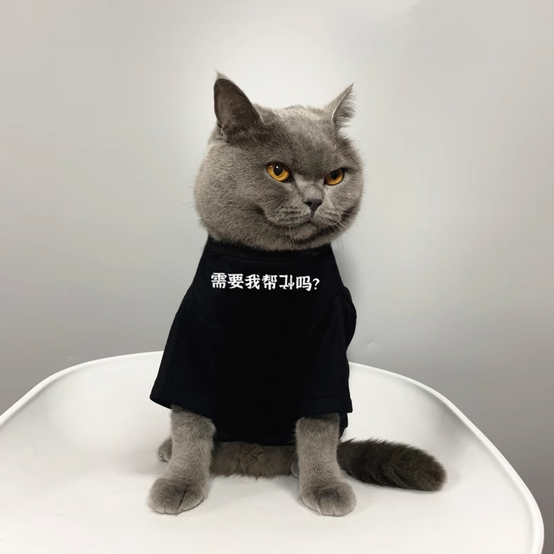 需要我帮倒忙吗？猫咪衣服夏季薄款防掉毛纯棉透气小狗服装T恤