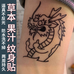 草本紋身貼紙線條中指寶批龍果汁防水持久女男老萌虎下山可愛搞笑