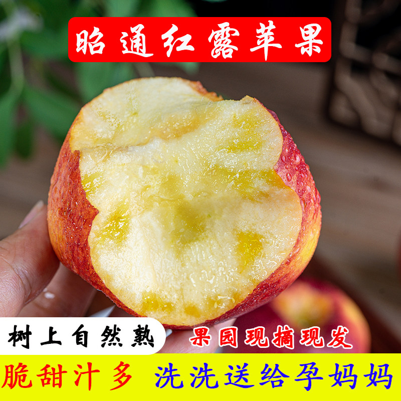 2026纯甜云南昭通红露冰糖心丑苹果当季新鲜水果孕妇苹果4.5/9斤