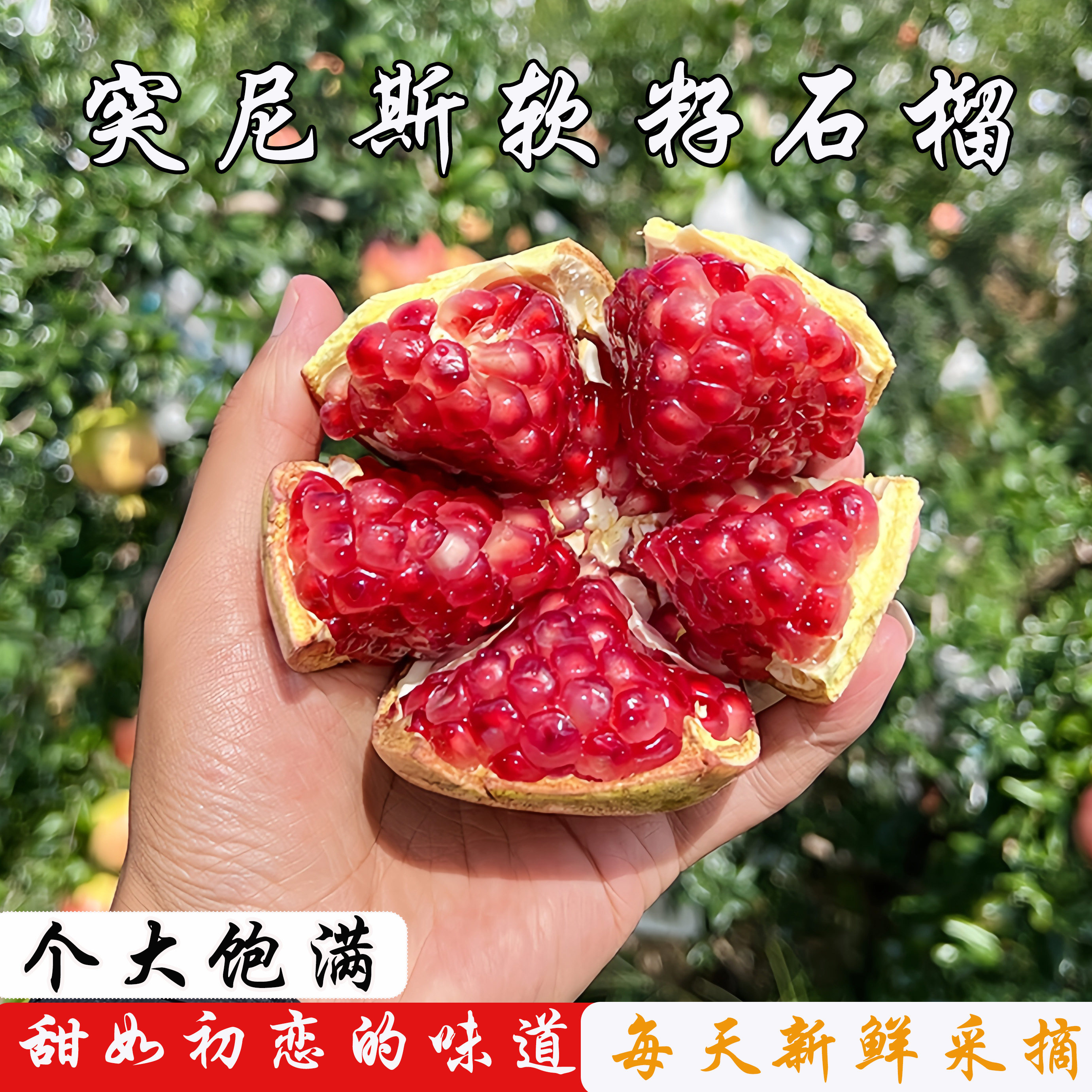 四川会理石榴突尼斯软籽石榴新鲜水果当季现摘现发红宝石8斤包邮