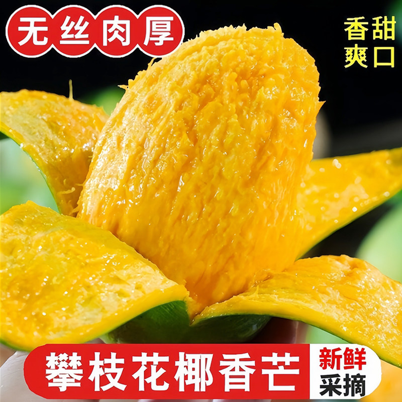 四川攀枝花椰香芒果新鲜水果现摘现发软糯香甜5/8斤[催熟后食用】