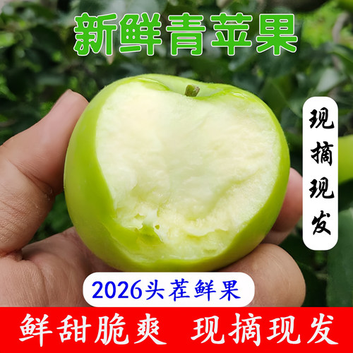 【纯甜】青苹果云南昭通新鲜水果当季现摘甜脆孕妇苹果5斤装包邮