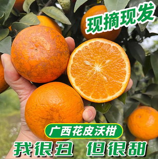花皮沃柑广西武鸣沃柑石灰防虫防晒新鲜水果 现摘柑橘5/9斤包邮