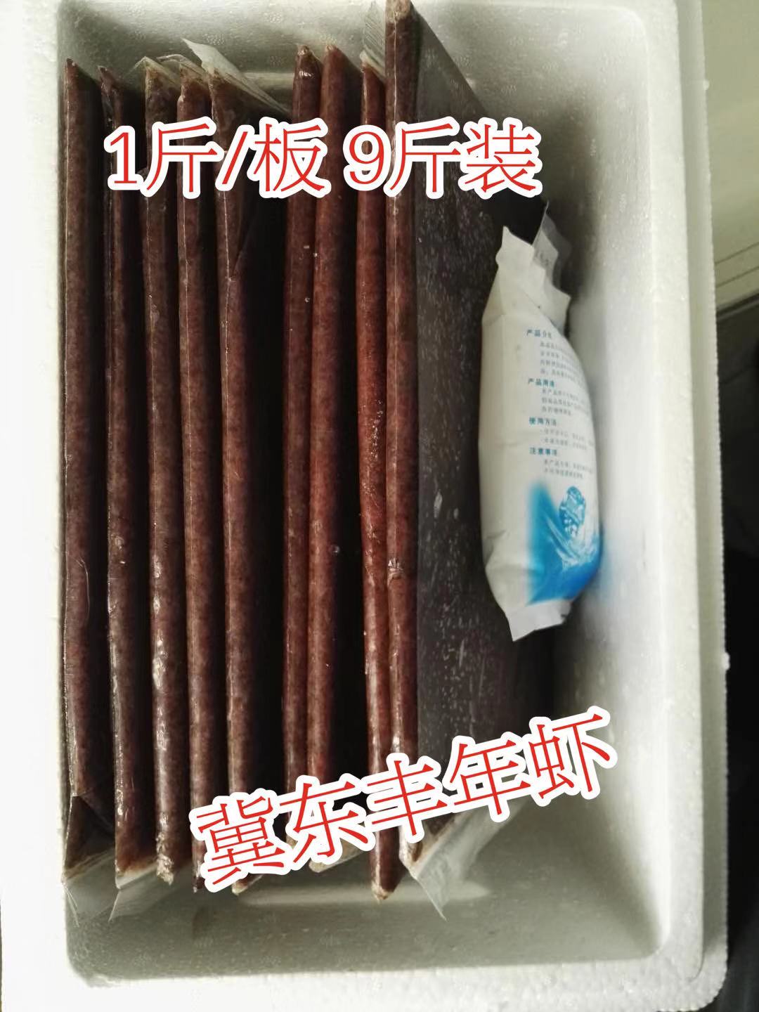 速冻丰年虾鱼食其他地区