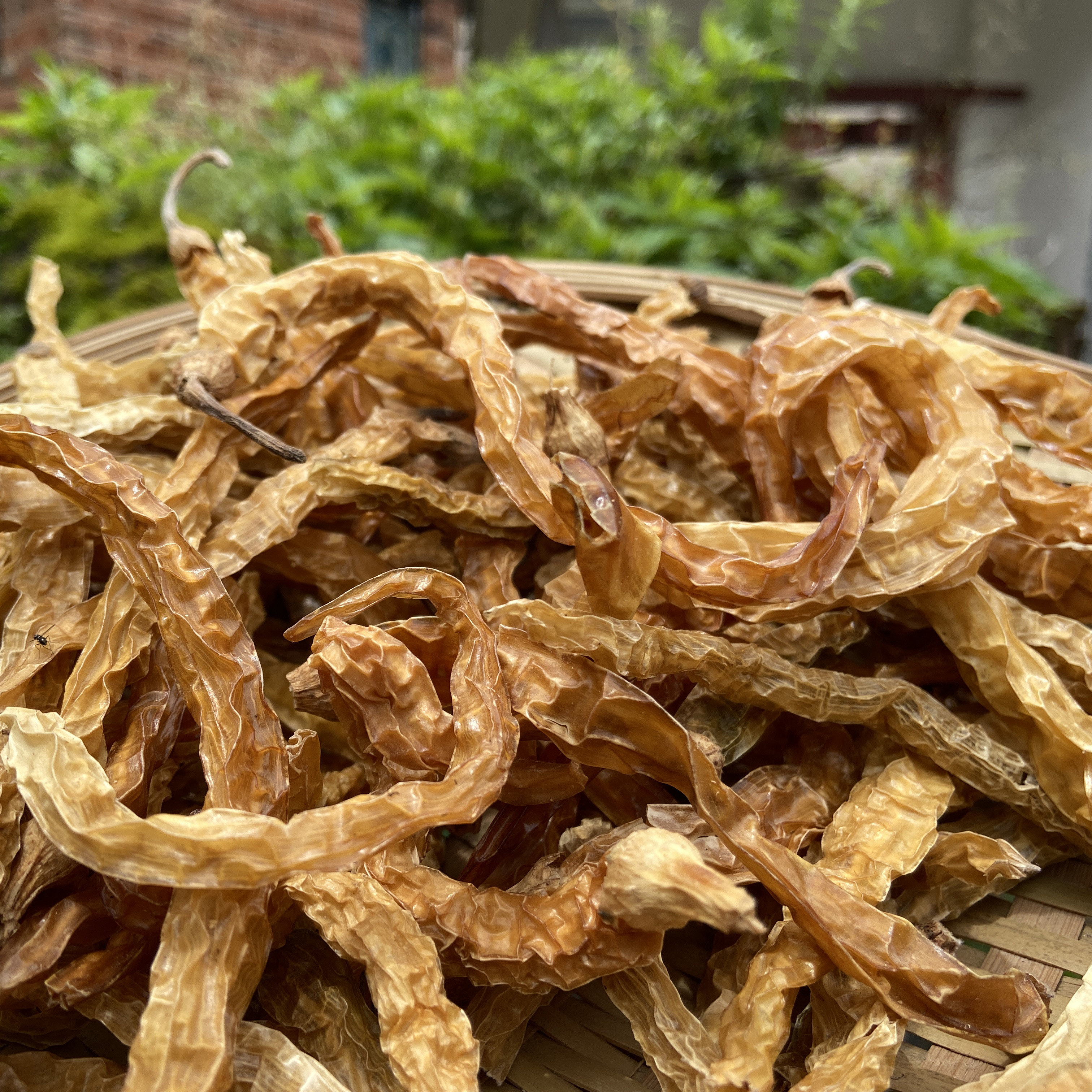 湖南农家自晒白辣椒干250克无盐不熏不染不添加整个白辣椒皮湘菜