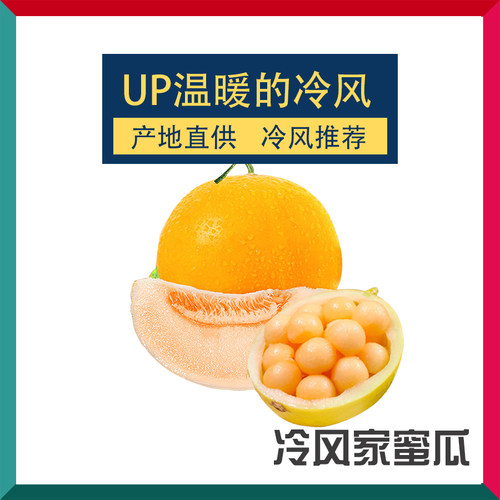 up温暖的冷风的助农小店 甘肃民勤沙漠蜜瓜 黄河甜瓜冷风的淘宝店
