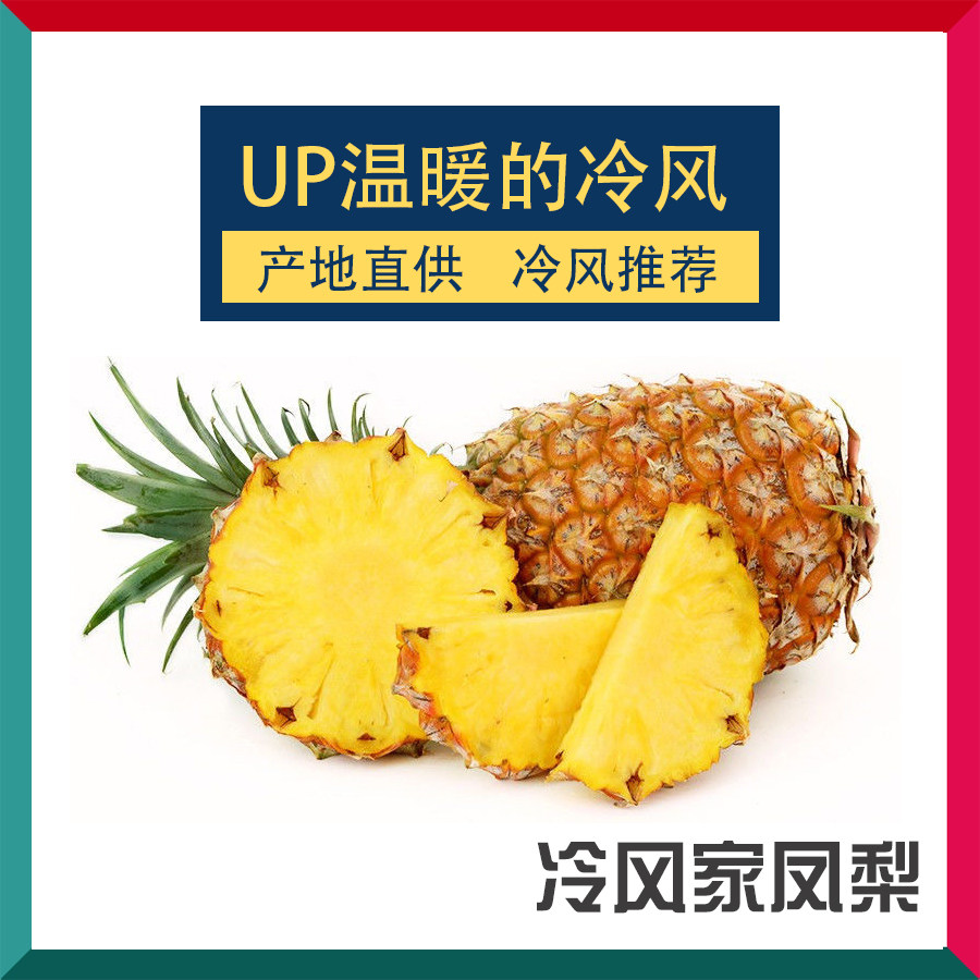 up温暖的冷风的助农小店 海南凤梨 新鲜  b站冷风家的淘宝店