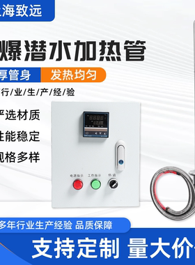 防爆大功率潜水380V加热管工业投入水箱水槽油罐大游泳池加热棒