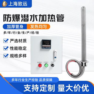 防爆大功率潜水380V加热管工业投入水箱水槽油罐大游泳池加热棒